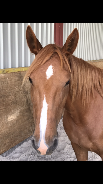 Photo de profil de justineblush