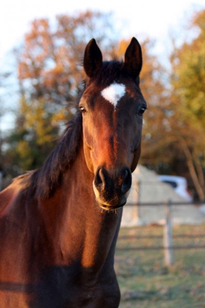 Photo de profil de justmtl