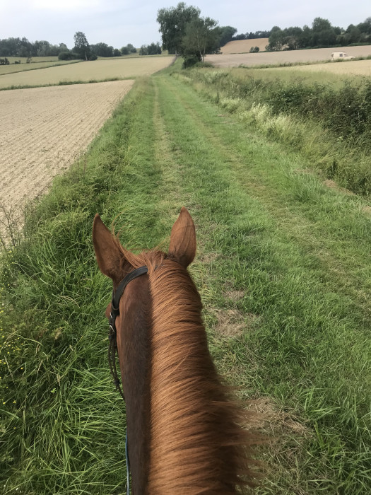 Photo de profil de j_wint