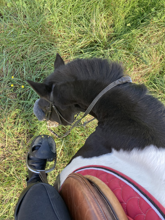 Photo de profil de kaaww