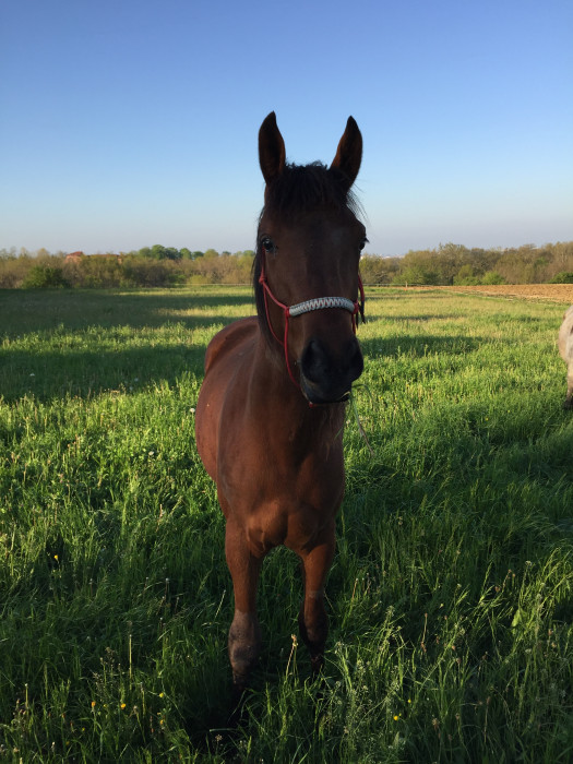 Photo de profil de kahila31240