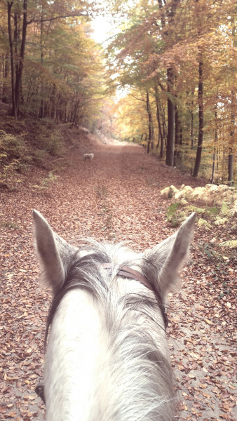 Photo de profil de kalicoba