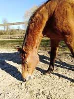 Photo de profil de kaliopee