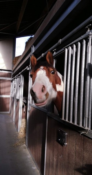 Photo de profil de kalouma