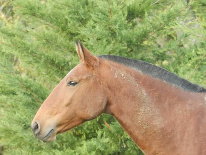 Photo de profil de kalyska