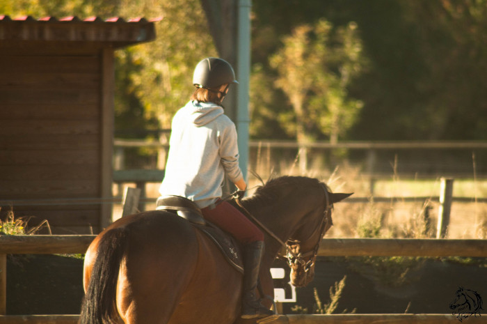Photo de profil de kameyo