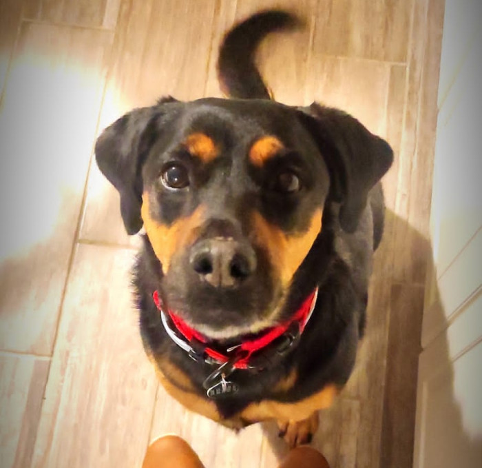 Photo de profil de kamila27