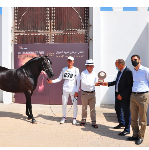 Photo de profil de kanz