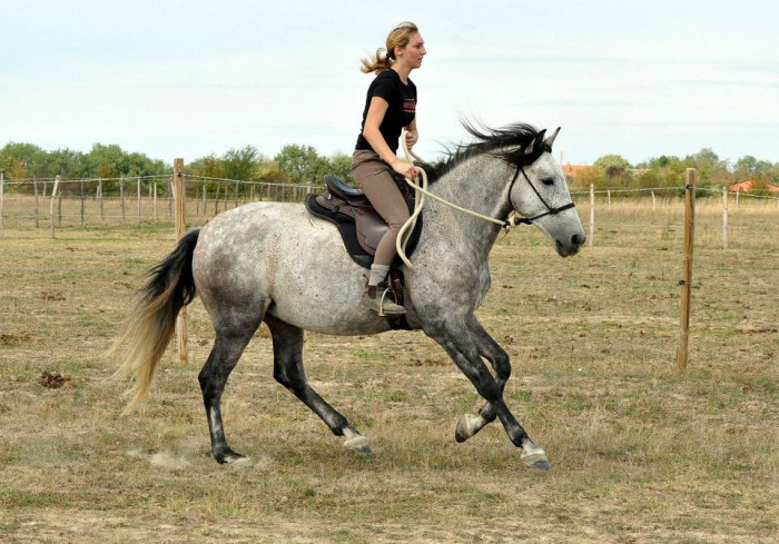 Photo de profil de karamielle