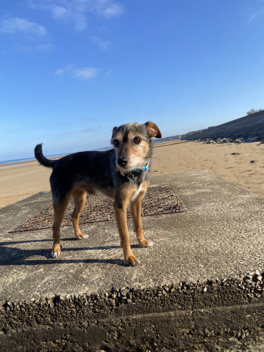 Photo de profil de kassandre_15