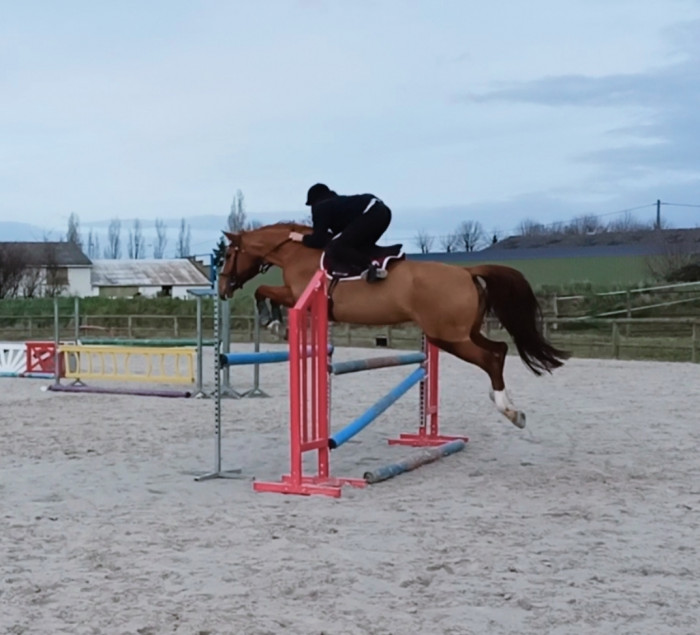 Photo de profil de kassy36