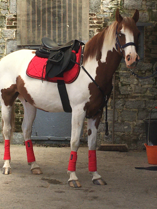 Photo de profil de kate050278