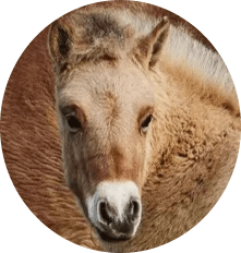 Photo de profil de keepo