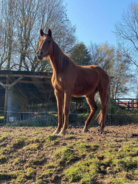 Photo de profil de kim_gwen17