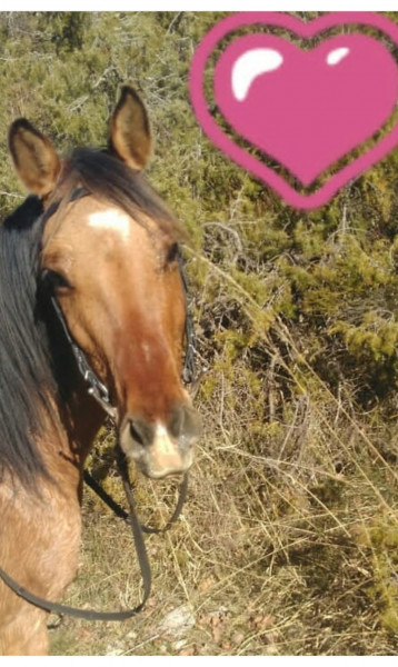 Photo de profil de kirbyetnador