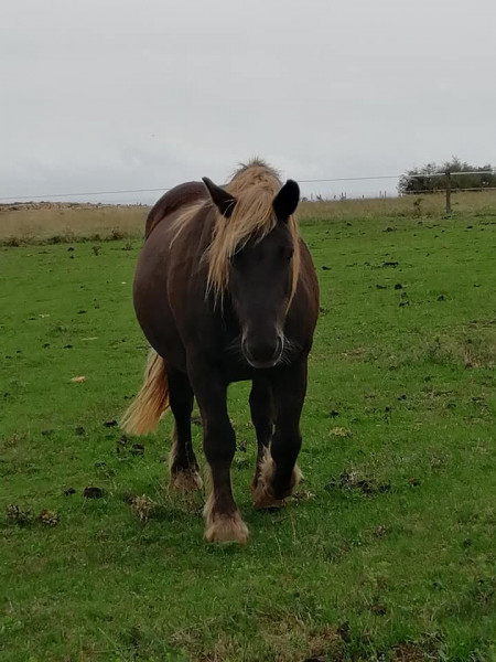 Photo de profil de kironelle