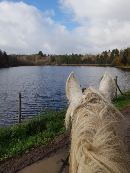 Photo de profil de kkdoa