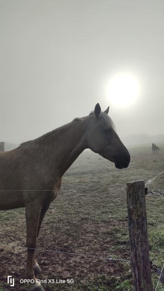 Photo de profil de klimy