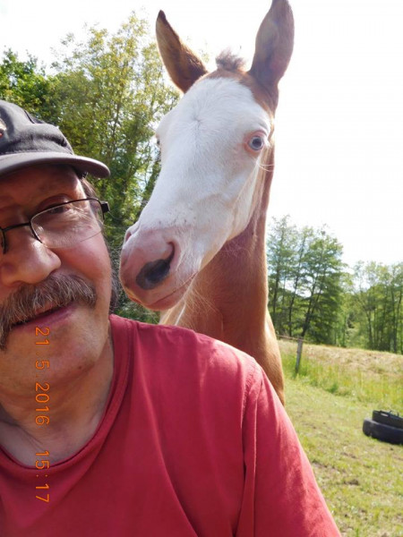 Photo de profil de koiboy