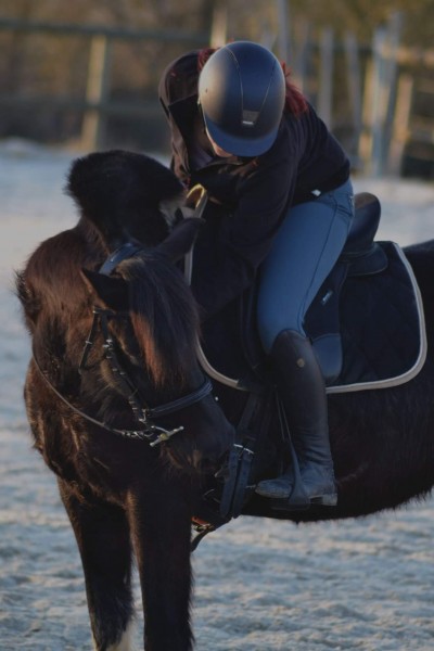 Photo de profil de koki