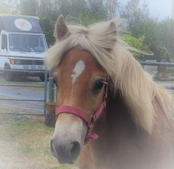 Photo de profil de kornely