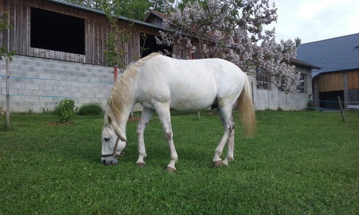 Photo de profil de kro22