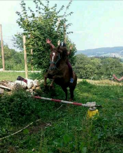 Photo de profil de krypton.et.luci