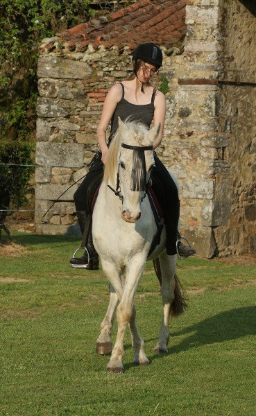 Photo de profil de kyeraw