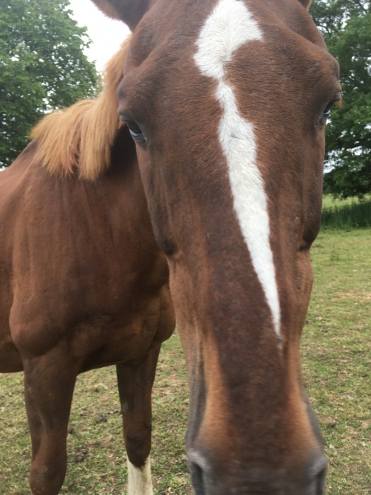 Photo de profil de kyliev