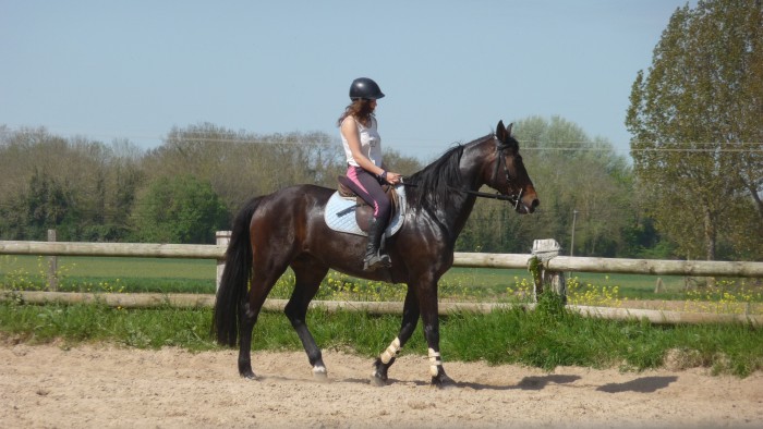 Photo de profil de laauu14