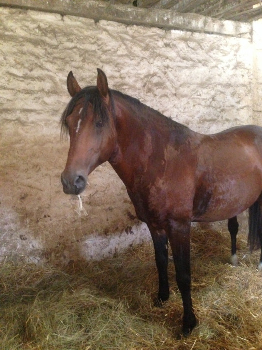 Photo de profil de laberliere