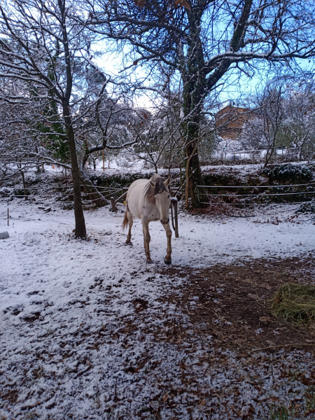 Photo de profil de lacadiere