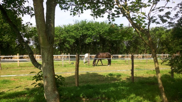 Photo de profil de la.caterie