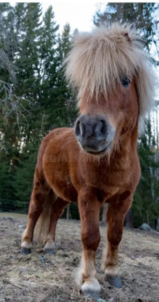 Photo de profil de la.cavaliere.pa