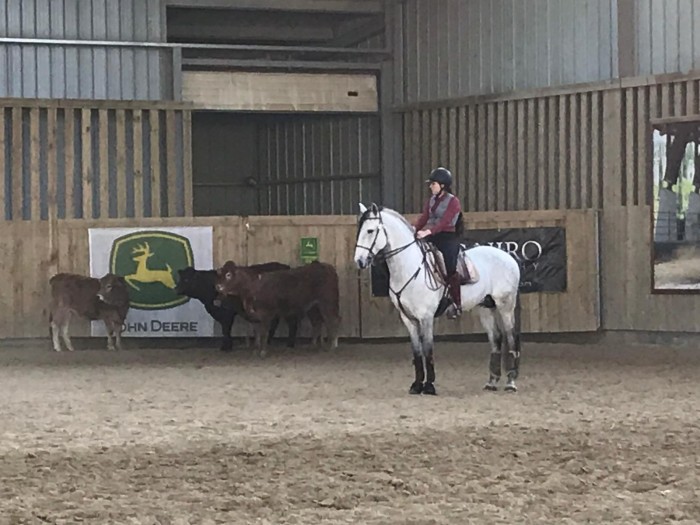 Photo de profil de laconia