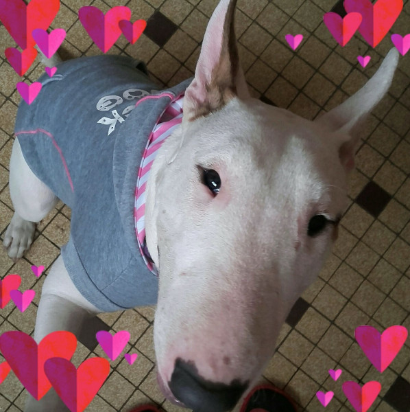 Photo de profil de laeti33240