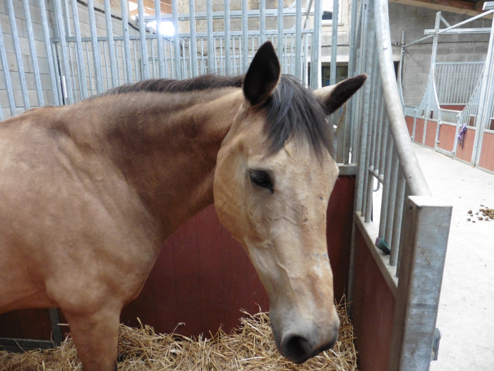 Photo de profil de laetitia50