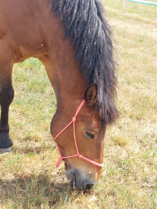 Photo de profil de laetitiadrev