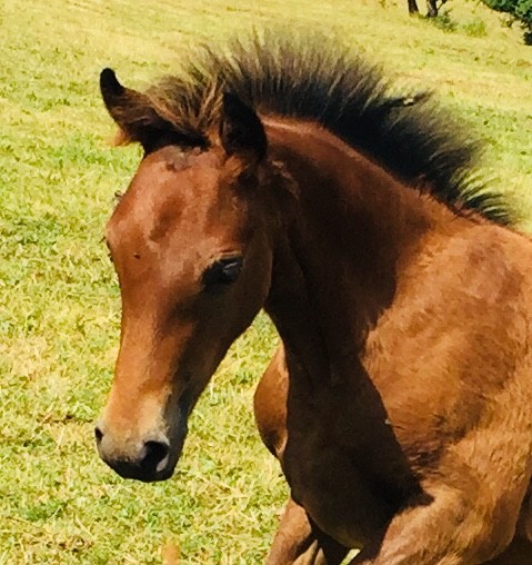 Photo de profil de laety15100