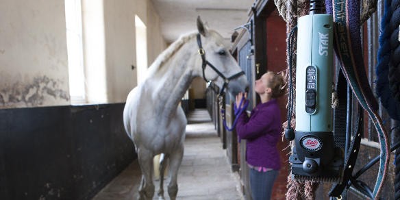 Photo de profil de lafleuterie