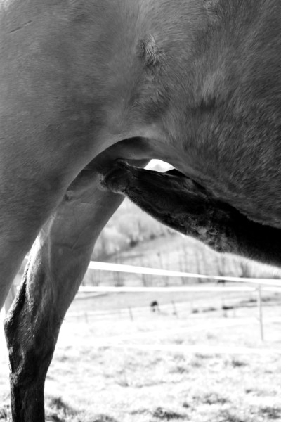 Photo de profil de laguesneliere