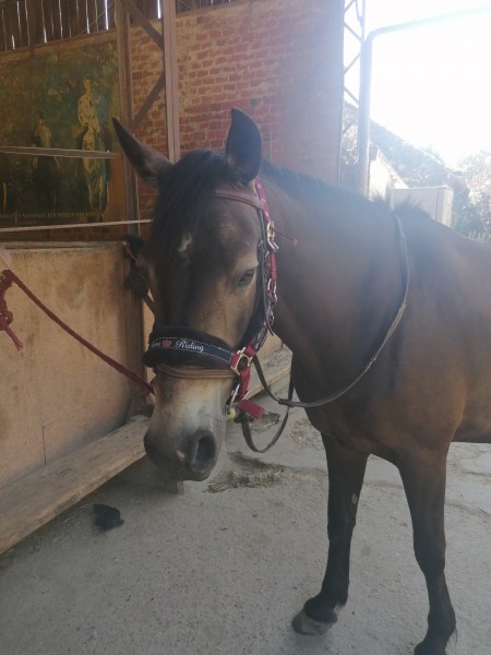 Photo de profil de lailla7895