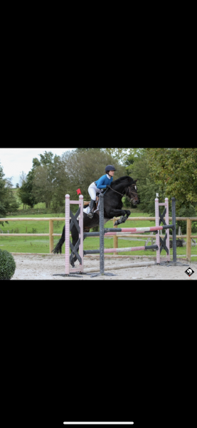 Photo de profil de lalypch