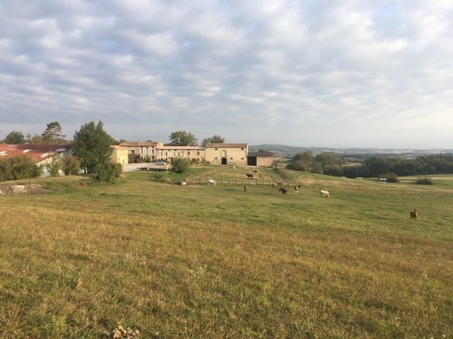 Photo de profil de lamartine