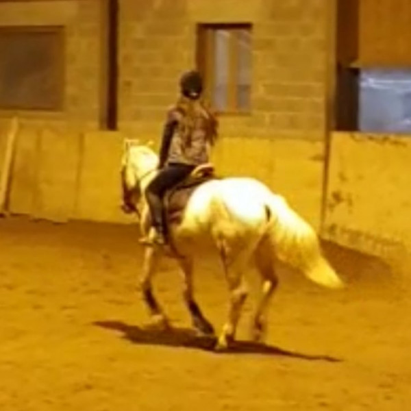 Photo de profil de lanaequestrian