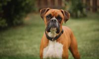 Photo de profil de lapecole2