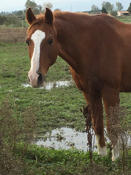 Photo de profil de larys