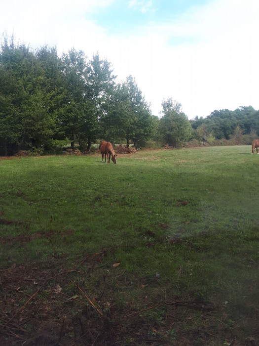 Photo de profil de lassalle