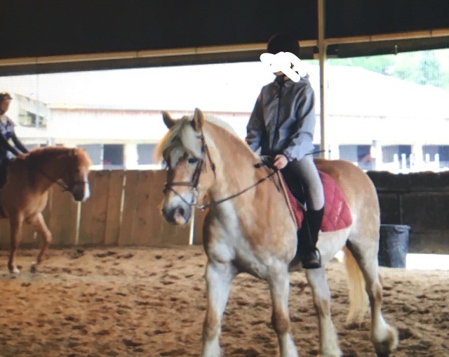 Photo de profil de lau.essonne