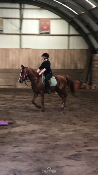 Photo de profil de laura2468